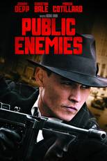 Public Enemies