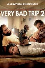 Very bad trip 2