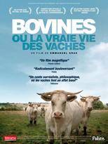 Bovines ou la vraie vie des vaches