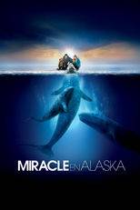 Miracle en Alaska