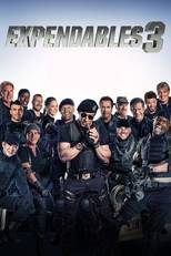 Expendable 3