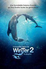 L'incroyable histoire de Winter le dauphin 2