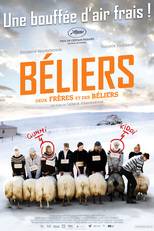 Béliers