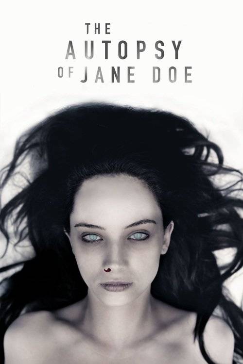 Résultat de recherche d'images pour "the jane doe identity cover"