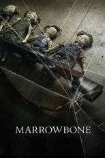 Le Secret des Marrowbone