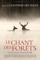 Le chant des forêts